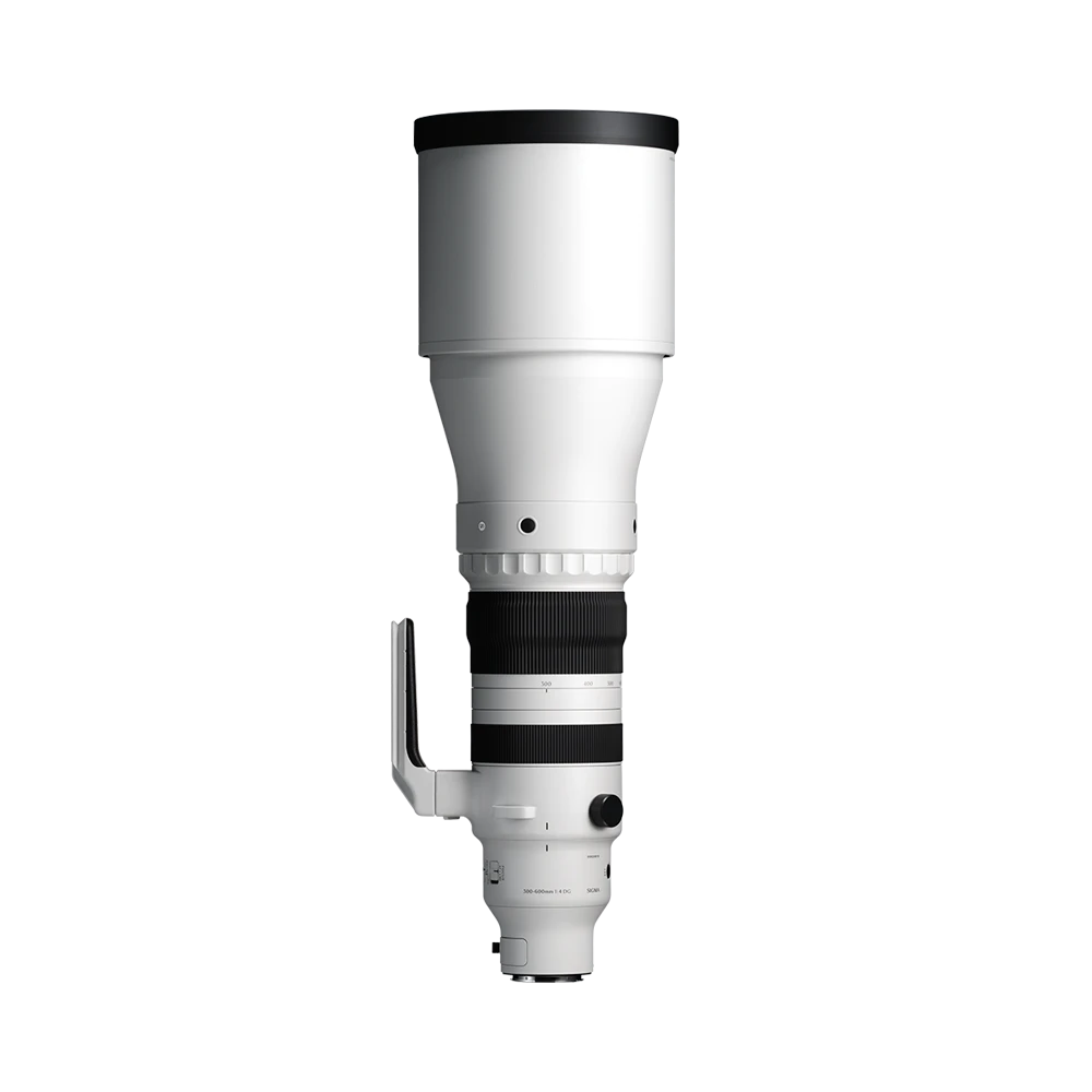 Sigma 300–600mm F4 DG OS Sports